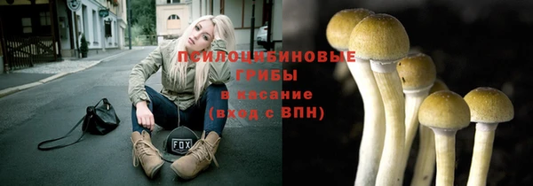 apvp Покачи