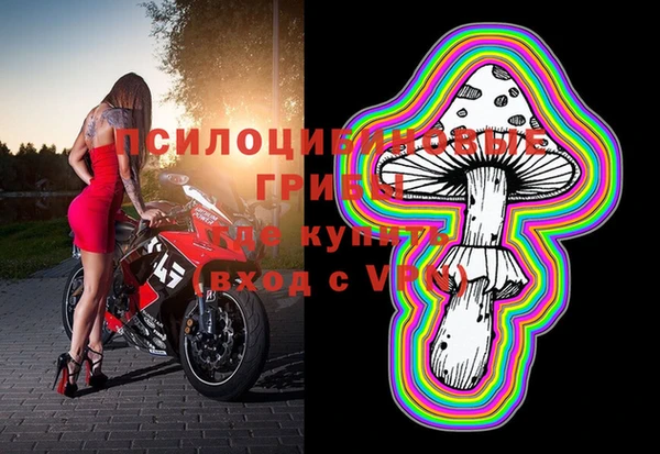 apvp Покачи