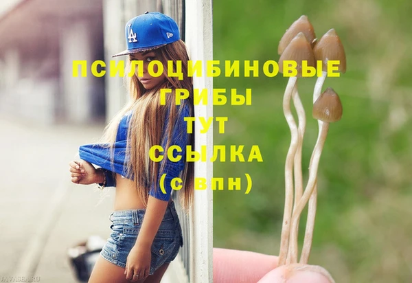 2c-b Ельня