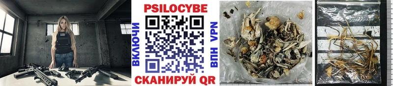 Псилоцибиновые грибы MAGIC MUSHROOMS  Артёмовский 
