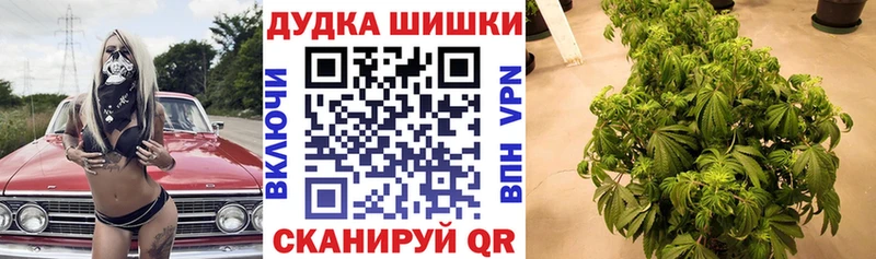 Бошки Шишки гибрид  где продают   Артёмовский 